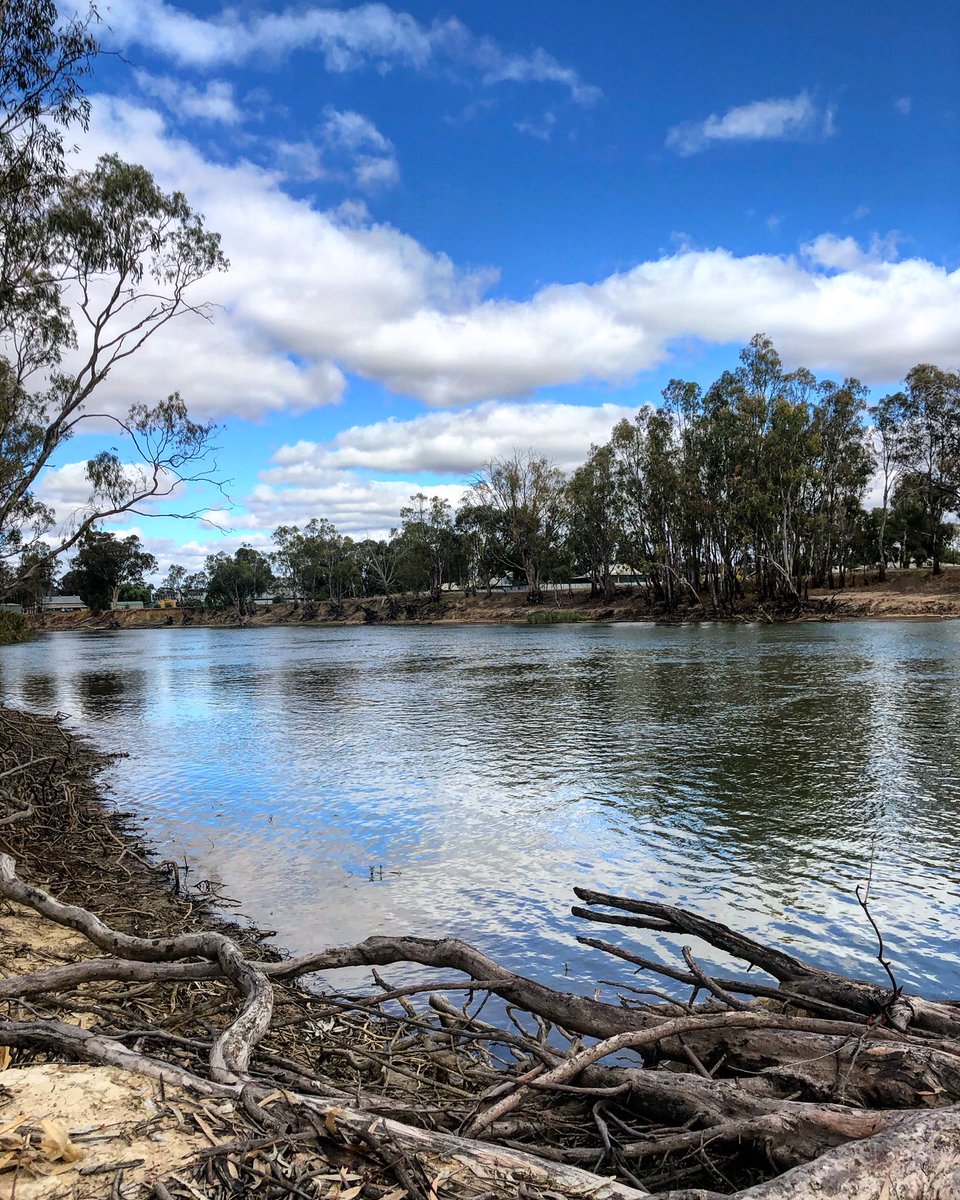 IndigenousX's tweet image. Country is home. Yorta Yorta Country. #HealCountry #NAIDOC2021 #YortaYorta