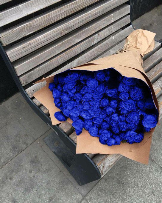 في قانون الحب يقال: من لا يهدي الورد لا يجيد الحب ☕️💙.

 #اخر_هديه_وصلتك