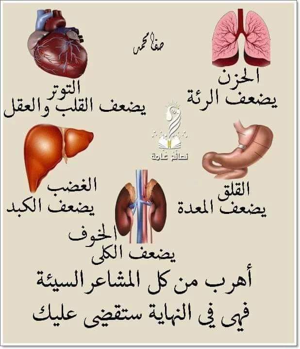 دمتم بخير دائماً