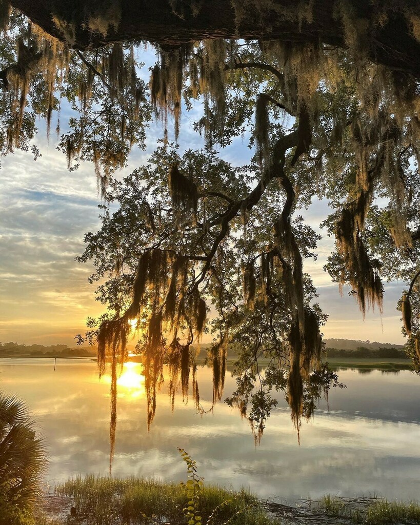VisitSavannah's tweet photo. Lowcountry living. 😍  #VisitSavannah [📸. @franklogue] 
.
.
.
#savannah #savannahgeorgia #savannahga #coastalgeorgia #lowcountry #georgiacoast #coastalliving #southernliving #beachlife #saltlife #marshview #saltmarsh #marshland #sunset #coastalga #sav… https://t.co/OzwBeZtVOO https://t.co/qHVoyN4WSg