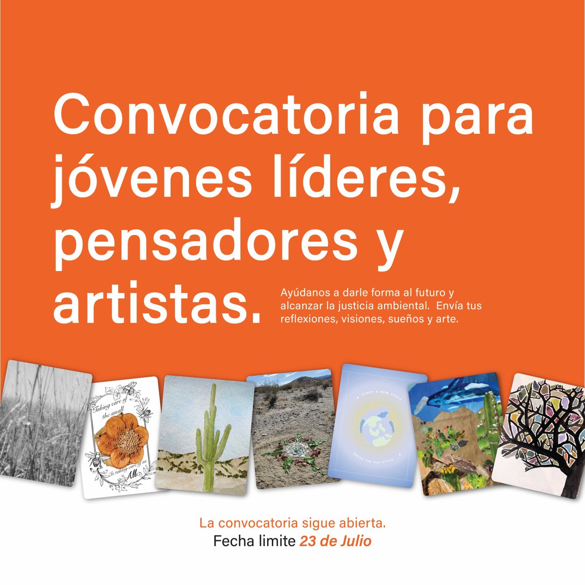 "Al dar vuelta quién le enseña a quién, el projecto TurnitAround nos recuerda que todos (y todo) debemos cambiar. Para más info: 
turnitaroundcards.org"