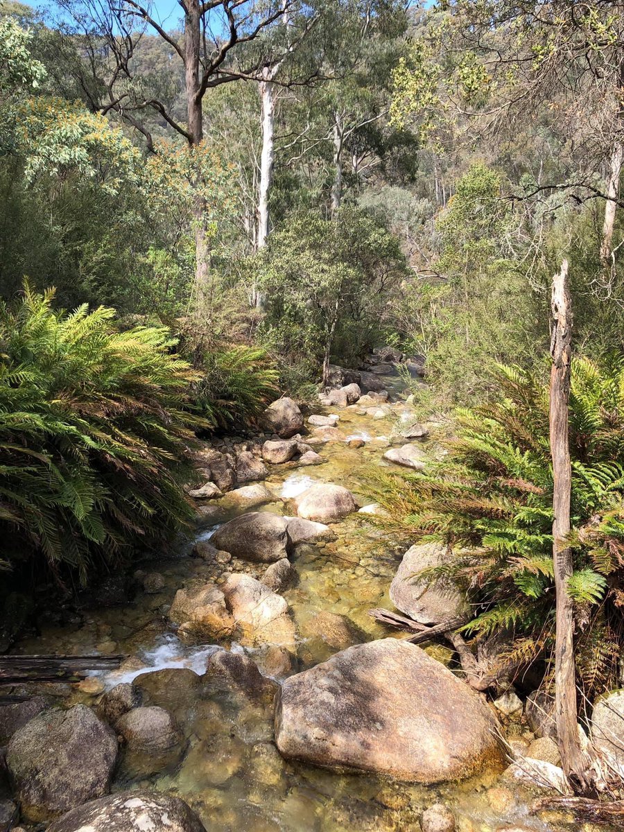 IndigenousX's tweet image. Our Country is sacred. Dhudhuroa Country. #HealCountry #NAIDOC2021