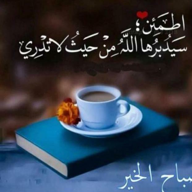 #صورة_ملف_شخصي_جديدة