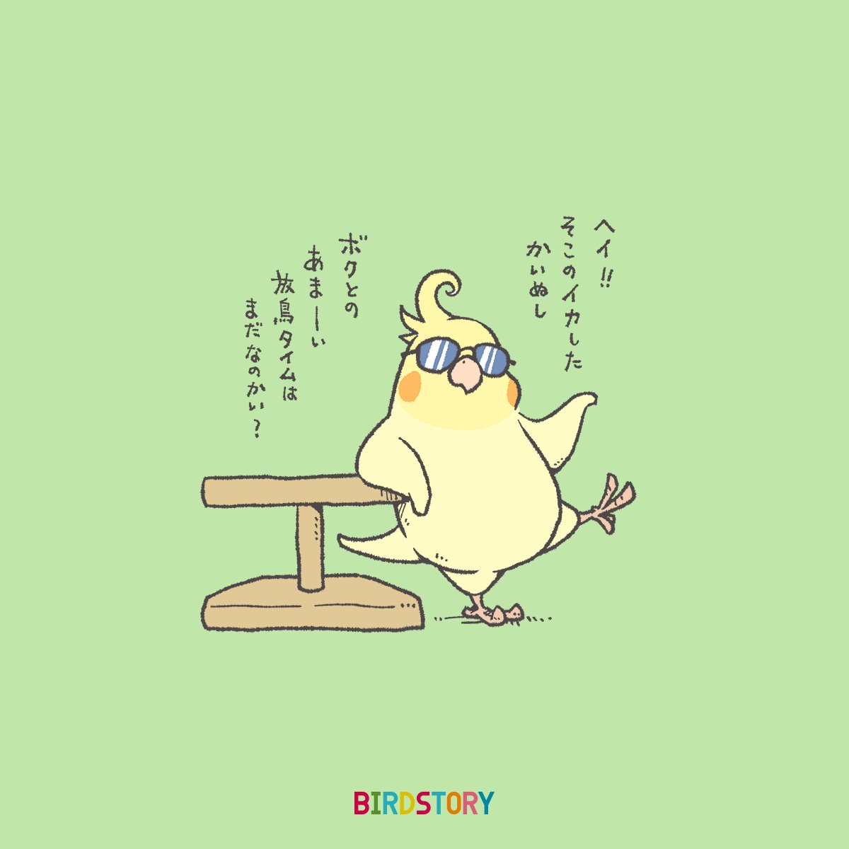 おはようございます。
本日は7月8日、なんぱの語呂合わせからナンパの日とのことです🐣
#BIRDSTORY 
#ナンパの日 #オカメインコ 