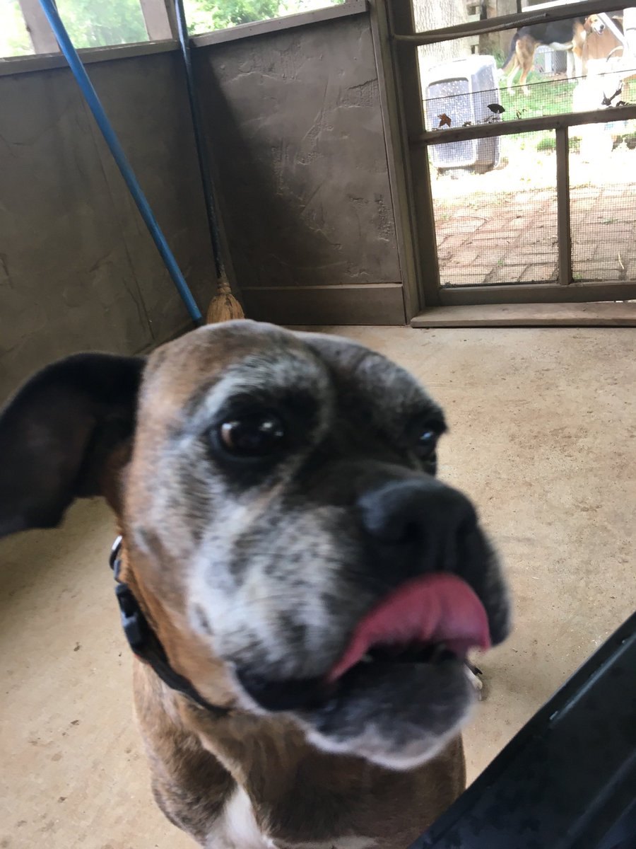 Daisy Rogers, missing since 7-5-21