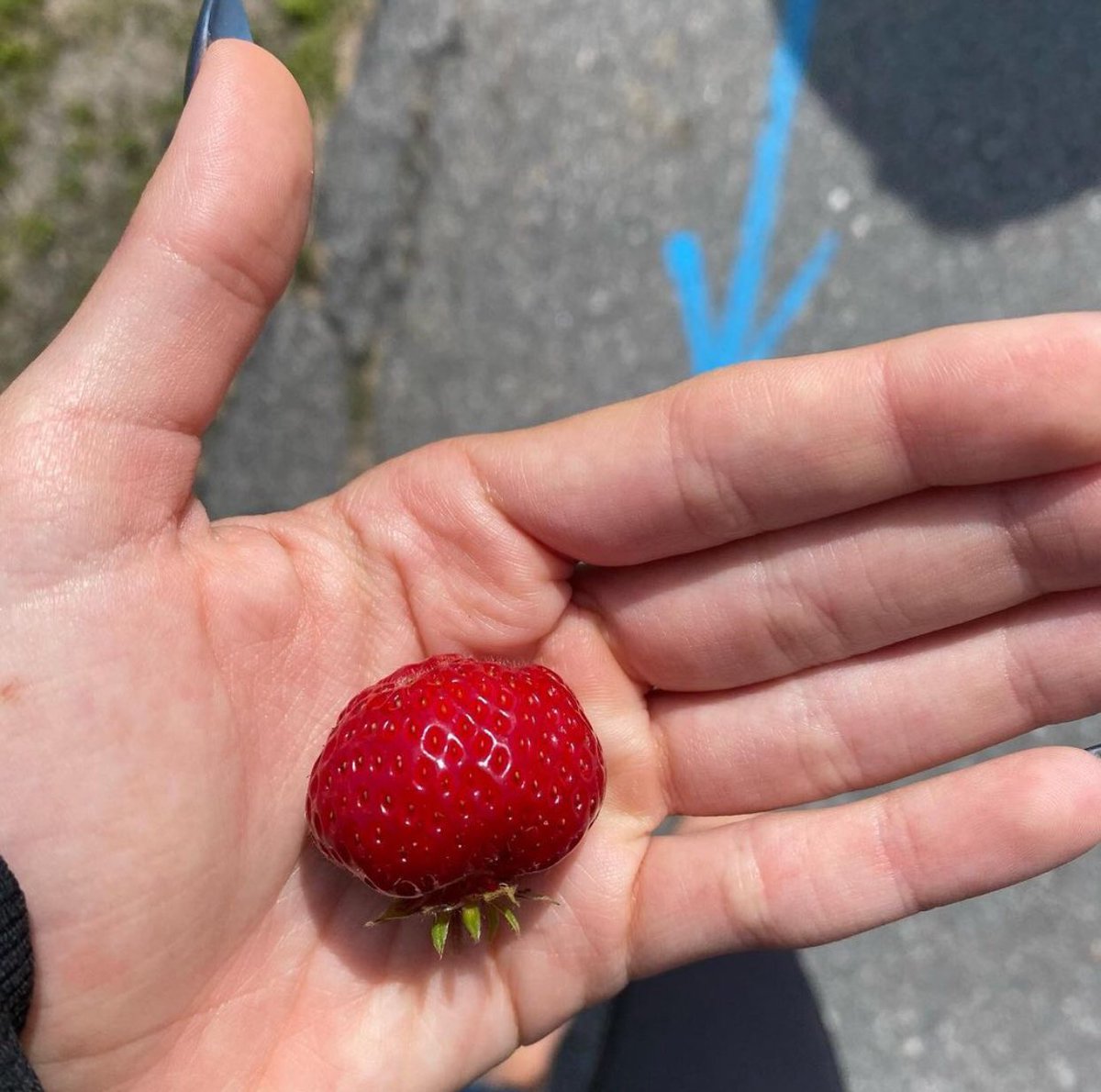 Emma via instagram.

“✏️”