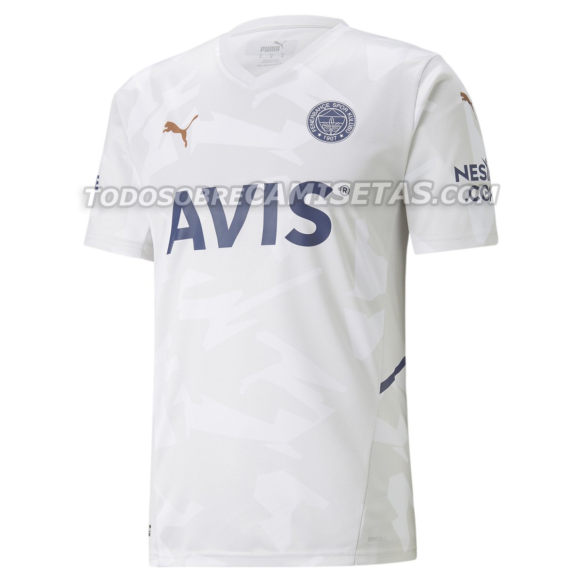 Fenerbahçe SK 2021-22 Kit