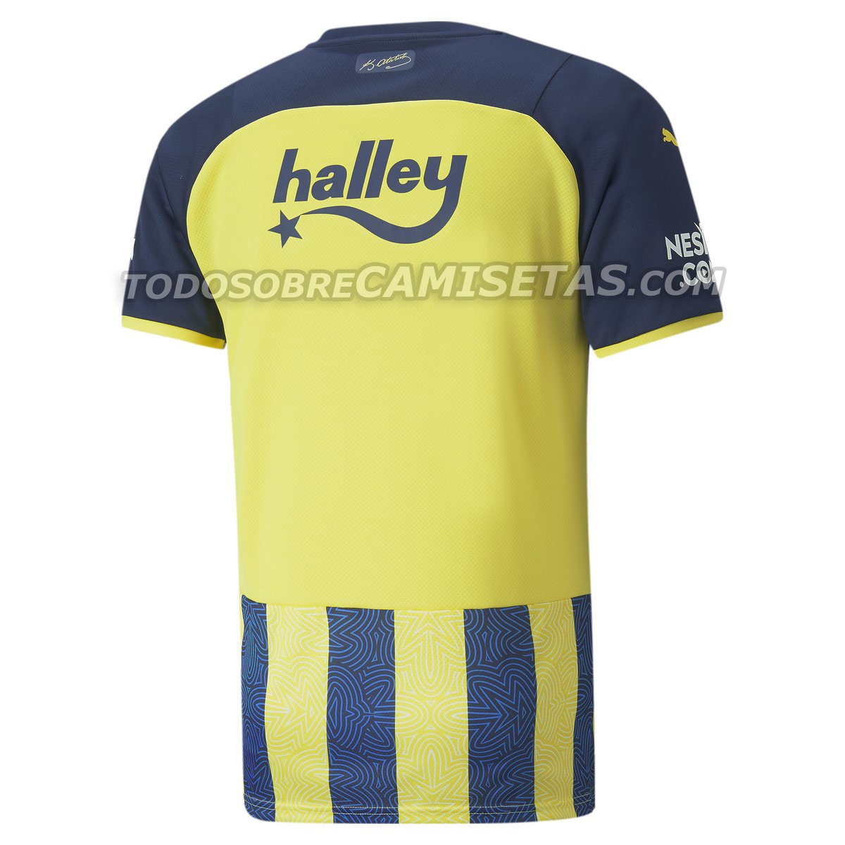 Fenerbahçe SK 2021-22 Kit