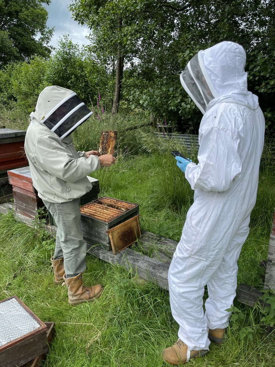 After the oil boiler installation yesterday we got invited to hold some bees 🐝