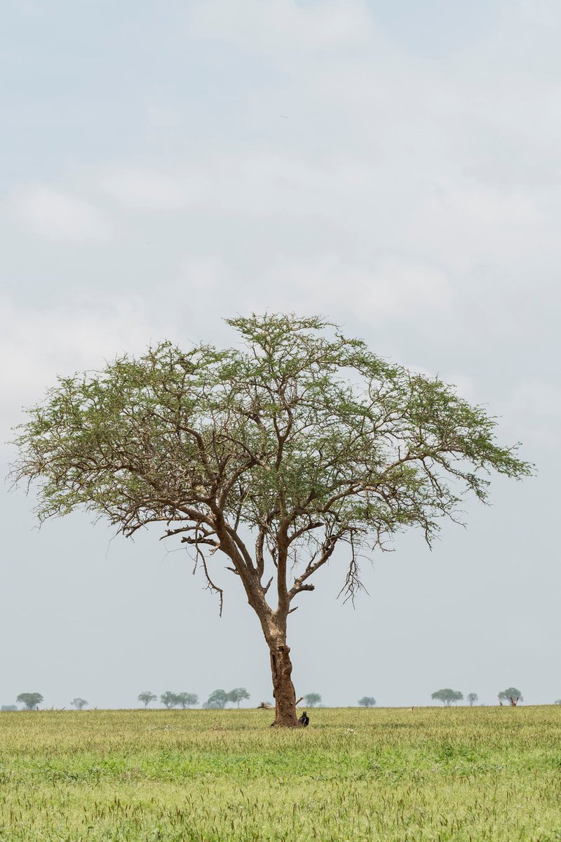 HoneymanConsult's tweet image. “There are some things that add value over time, but in the long run, they decay. Imagine if we could design our currencies to be in alignment with the natural world.” — Kevin Bayuk, @LIFT_Economy

Read more 👉 lttr.ai/izUT

#LIFTEconomy #DecentralizedLedger #Faircoin