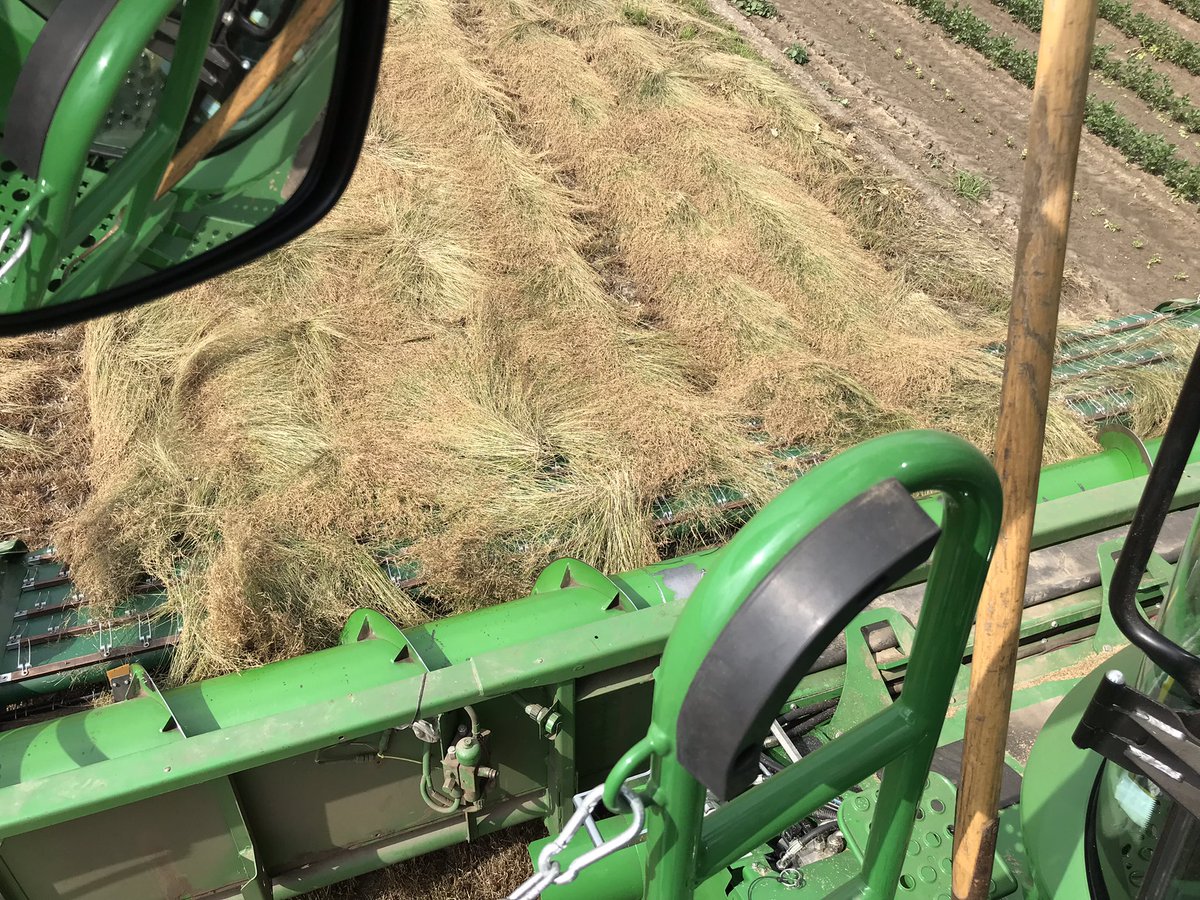 RobMeijs's tweet photo. Middagje in het Veld ! De oogst is begonnen !
#farmsight #johndeere #opbrengstmeeting #harvest #akkker #graszaad @geertjandekok https://t.co/leWxUBVT4I