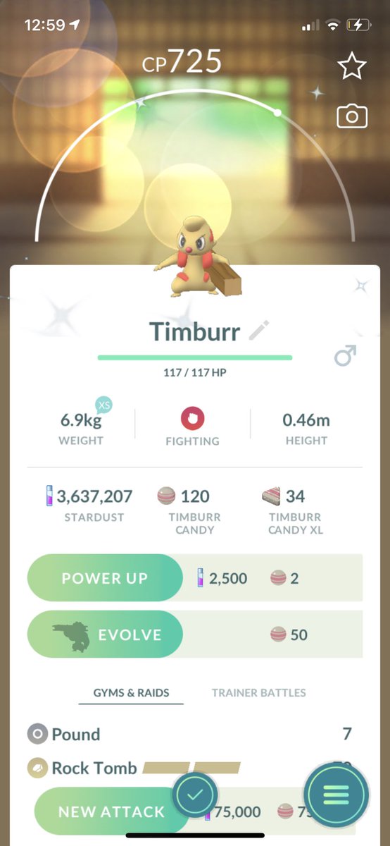 ali_holliday's tweet photo. Exciting 10Km hatch! This is my third and thus completes the set #pokemongo #shiny #eggs #timbur https://t.co/Q5cZyjBcvT