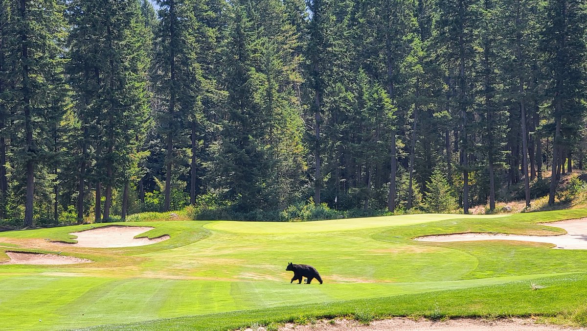 Cindy Soukoroff tweet media