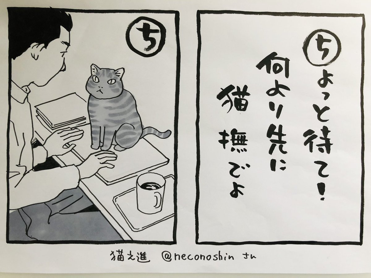 広島、島根、鳥取の雨は大丈夫でしょうか、、

ご無事で‼︎

猫之進さん@neconoshin  
平常心を思い出す句をありがとうございます。

#夜廻り猫 #夜廻り猫カルタ 