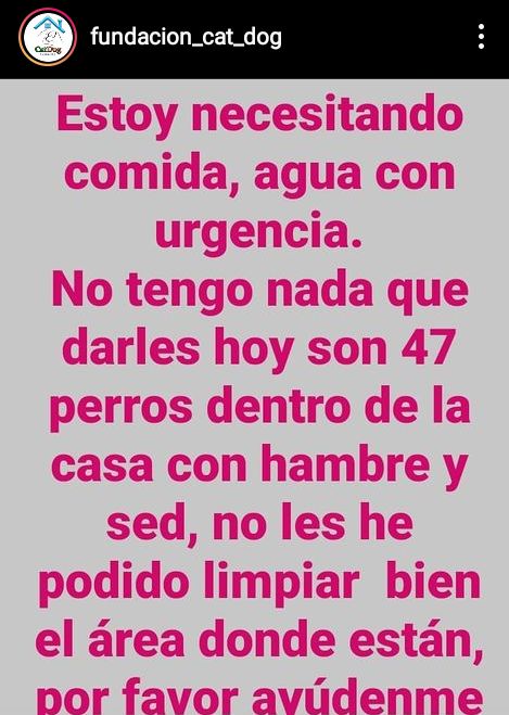 Andre_ina5's tweet photo. El Junquito, Caracas! Amigos la #fundacion_cat_dog en Instagram, necesita mucha ayuda tiene una manada de 47 perros que necesitan agua y alimentos, la están pasando mal. A parte de eso tiene dos caninos con tumores de etiquetas que necesitan ser tratados. @FRAENKELE
@Matricciana https://t.co/5Mdf8Sux1x