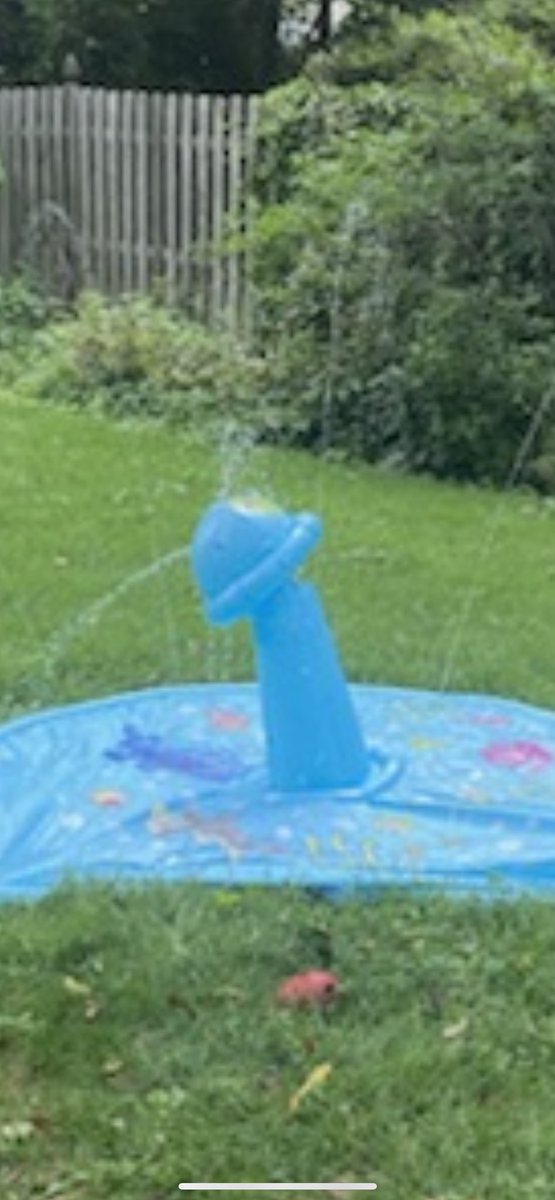 Friend set up her kids’ lawn sprinkler today and this is what it looks like. Imagine the design team meeting… “We actually got away with it!!!”