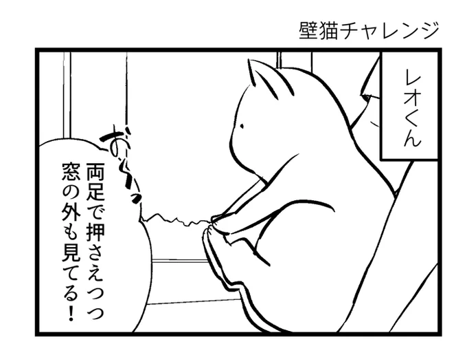 窓の外を見せるついでに壁猫チャレンジやってみた 