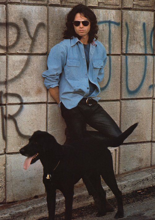 crockpics's tweet photo. Jim Morrison with his dog in LA, 1968 https://t.co/pdhhSaPqfa