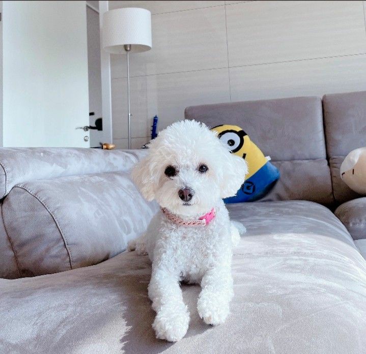 kk345we's tweet photo. happy birthday to my baby gaeul !! we love you so much ,, pls take care of each other π₯Ί MWAAAAA #SUNGHOON #gaeulday π€ https://t.co/Xyz2mRysez