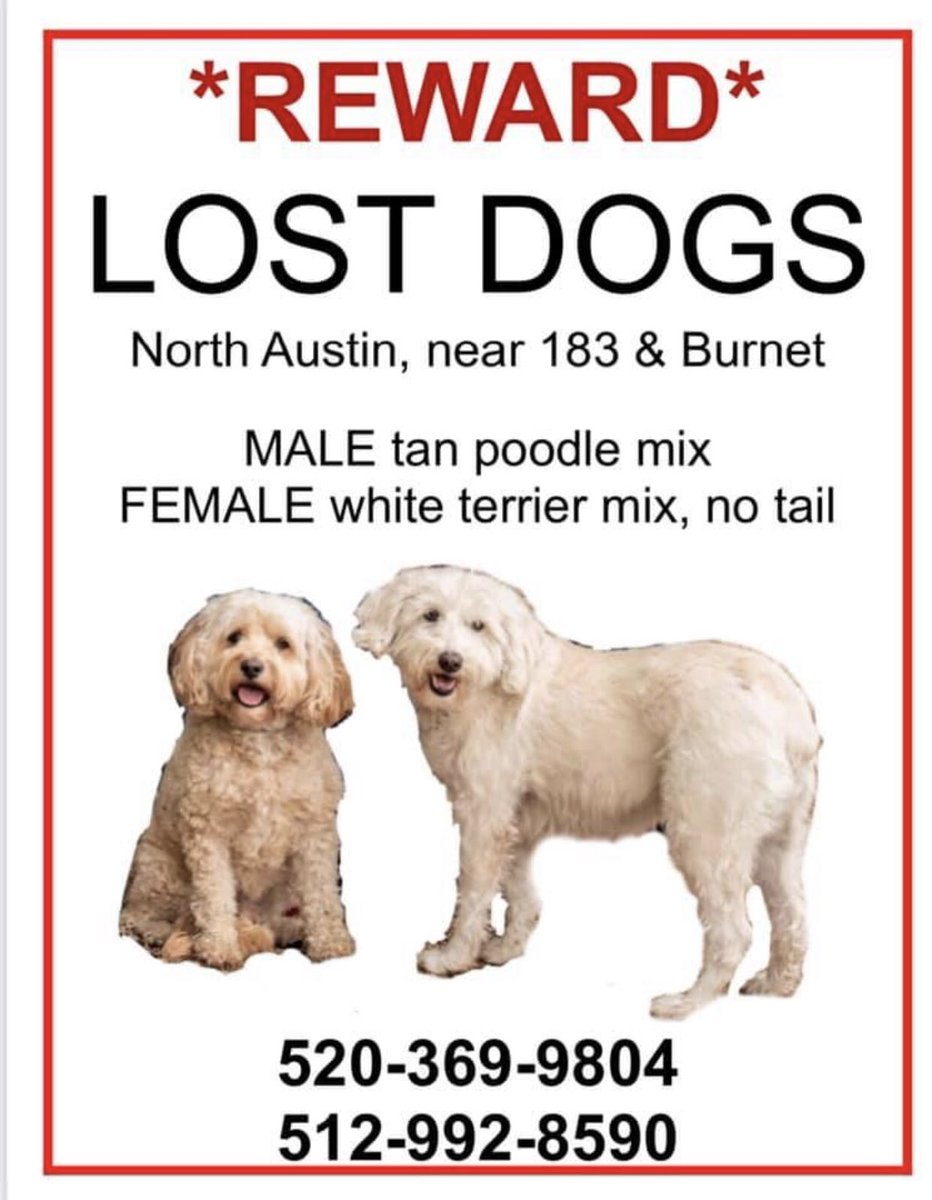 tweetawesomely's tweet photo. Sorry to be so single-minded about this, but Max &amp; Annie have been missing for more than a week!
They’re chipped and had collars &amp; tags when they escaped.
#Austin #LostDog #AustinDog https://t.co/ZbYCMRqmgl