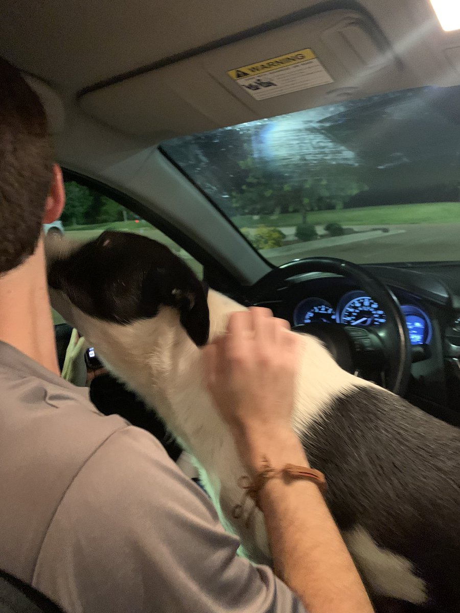Very sweet dog found in parking lot of home goods!! Please help us find his owner!! No collar but clearly has a family ❤️🥺 <a href="/OxfordPolice/">Oxford Police Department</a>
