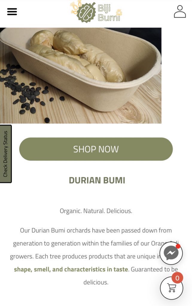 Biji bumi durian