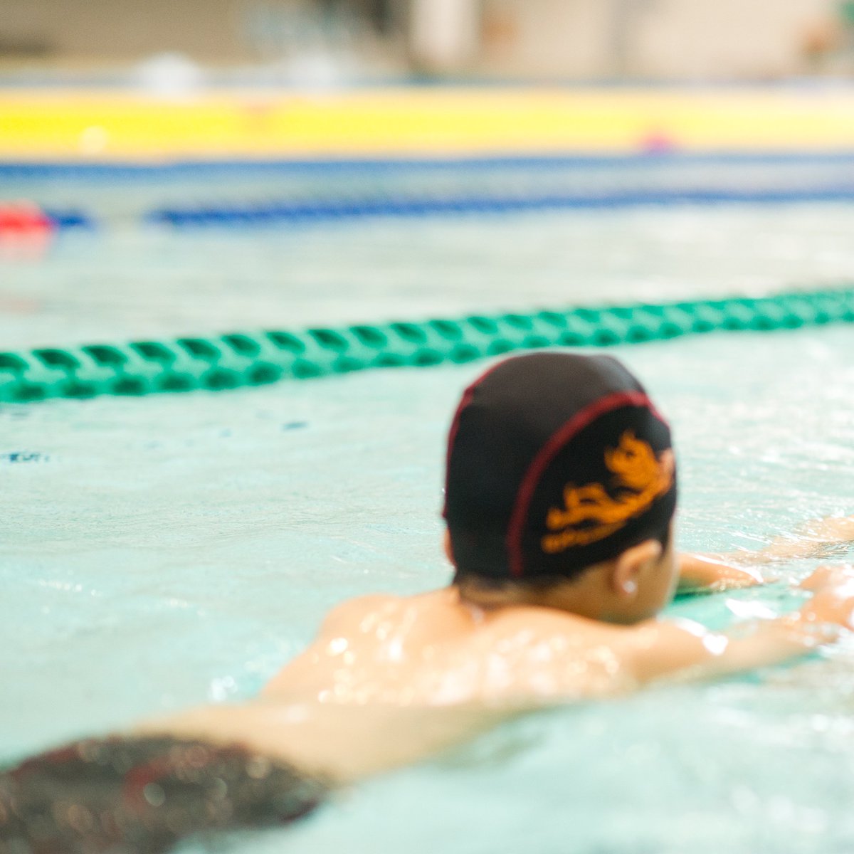 Top Tweets For クロール Instalker