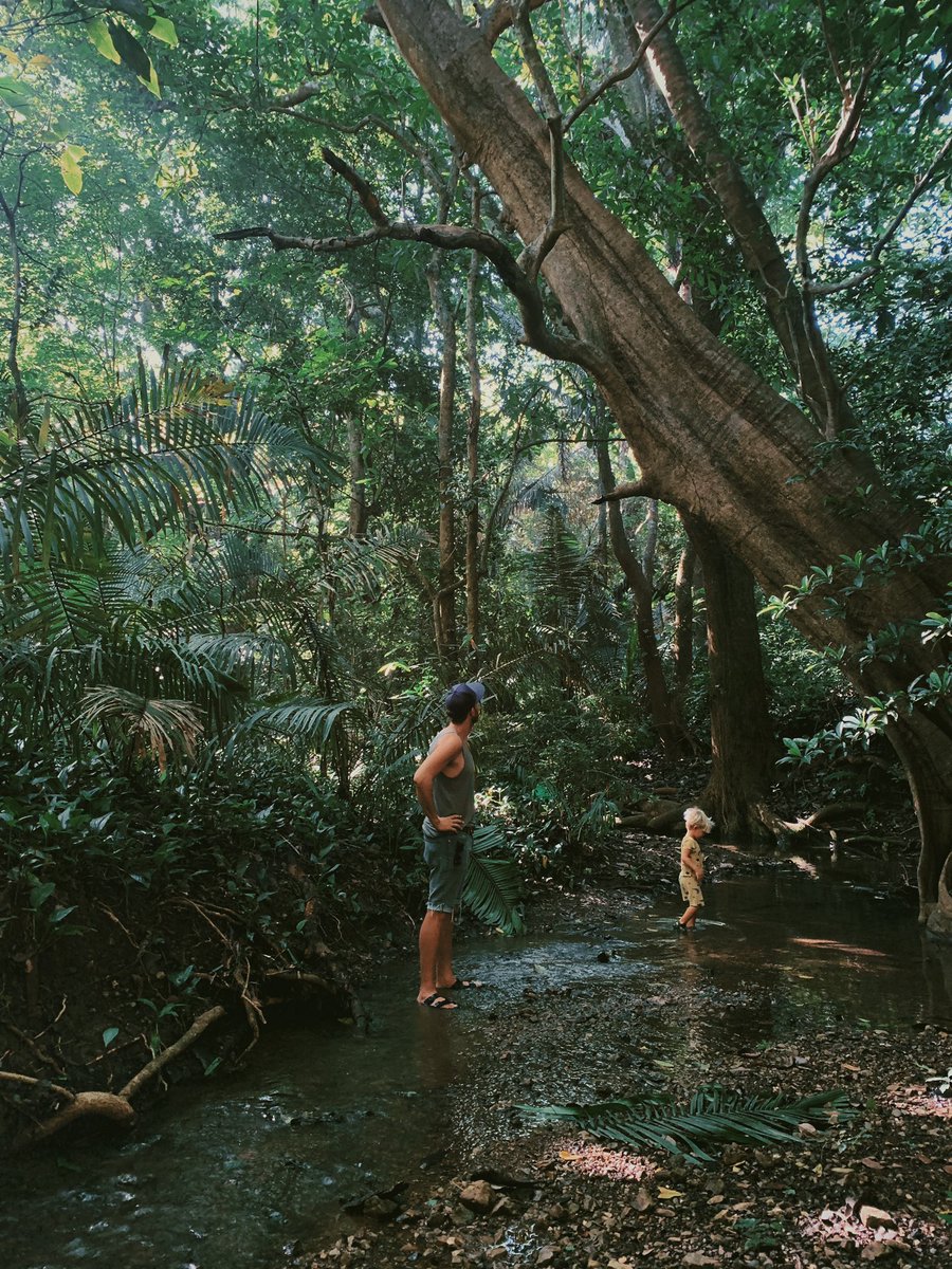 nathanfray's tweet photo. It’s been a long time dream of mine to buy some land and build a little home in Costa Rica. 

It’s happening. ❤️❤️ https://t.co/AoPJy3OC9b
