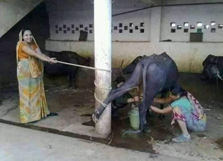 हैट! एमाले एकताको नाम ओलीलाई यस्तै गराएर सहमतिमा ल्याऊने प्रयास गर्दैछन।कुन बेला बुढाले फ्याट्ट हात्ताले हानेर थलालिंग पार्दिन्छन अनि सबै हिस्स बुढि खिस्स दॅात हुन्छन 😀😀😀