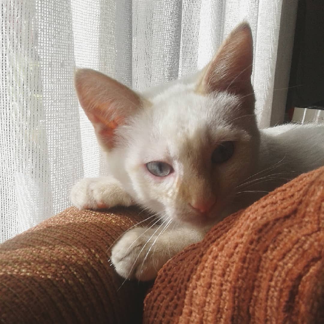 feer_________'s tweet photo. Te extrañaré toda la vida 🤍✨ https://t.co/Qp6UEFxg6y