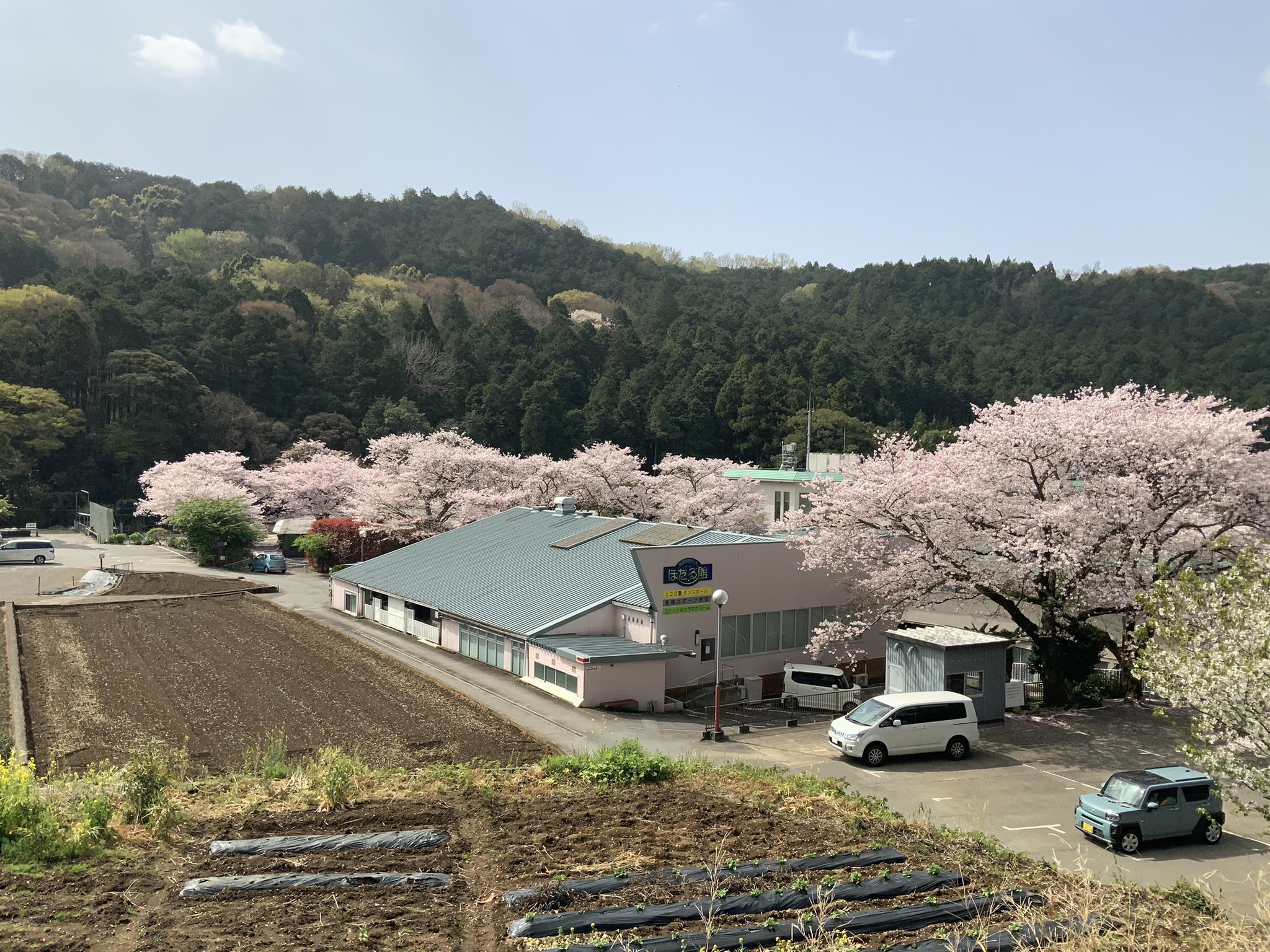桜とホタルの里 一の瀬 Hteeybuklvckysq Twitter