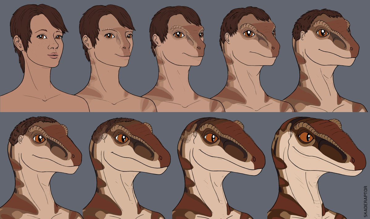 ᴍʏᴛʜɪᴍᴏʀᴘʜ ʟᴀʙꜱ 🧬 tweet media