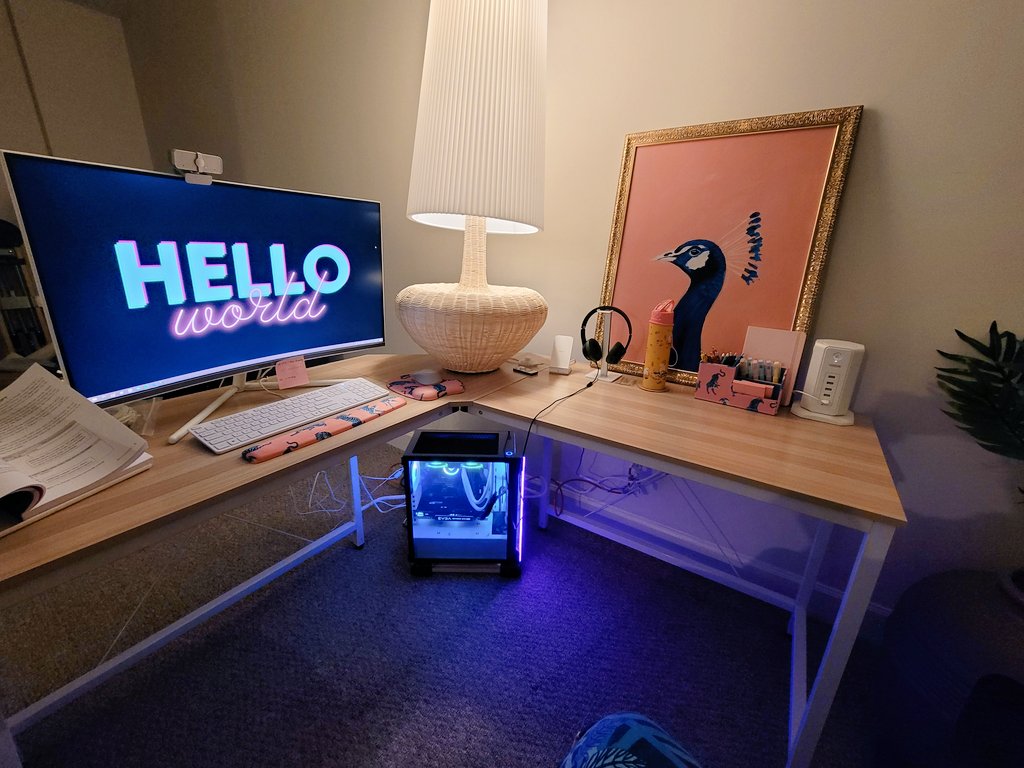 RubyLearnsCode's tweet photo. Got my work space all set up and ready to start learning. #officedecor #codingnewbie #helloworld #coding #WomenWhoCode https://t.co/AOY5yxZCSx