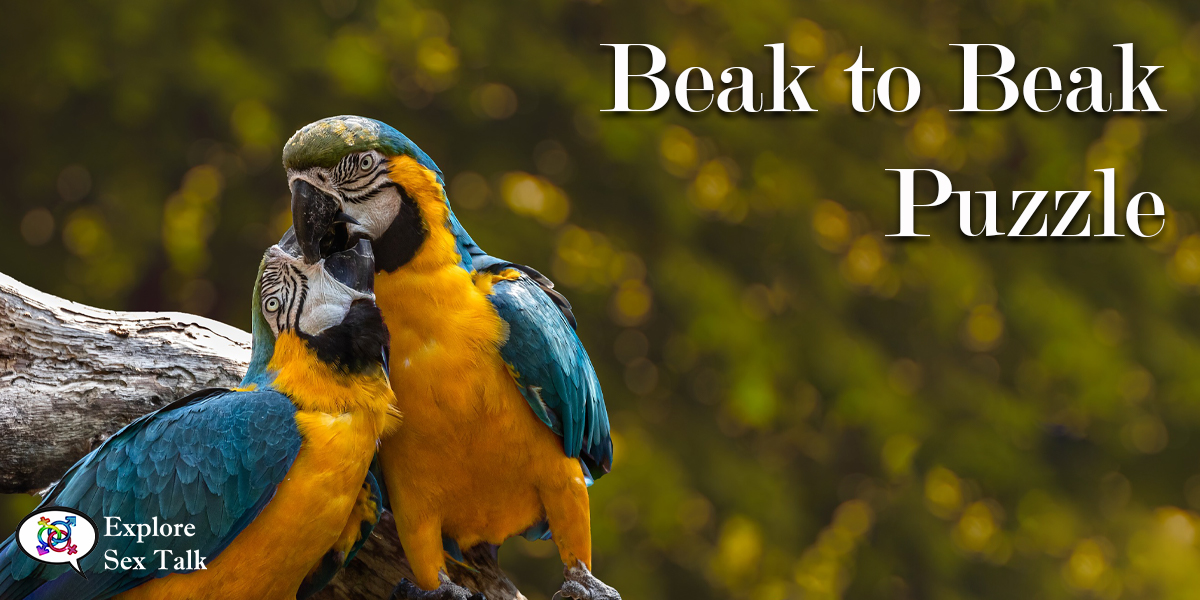 ExploreSexTalk's tweet photo. Enjoy this puzzle that features an intimate moment for these love birds
https://t.co/lHjECvvEEV https://t.co/Imvk4a2qPf
