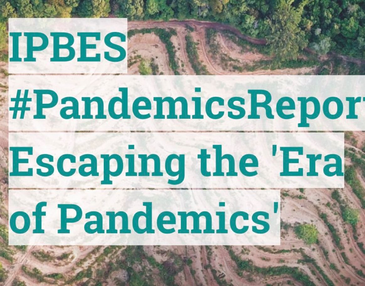 vbhatt23's tweet image. The @IPBES #PandemicsReport shows that the same human activities driving #biodiversity loss and #ClimateChange are also making pandemics more frequent, more costly &amp;amp; more deadly

Read more 👉 ipbes.net/pandemics 
#WorldZoonosesDay 

@andersen_inger @kapoors_s @deespeak