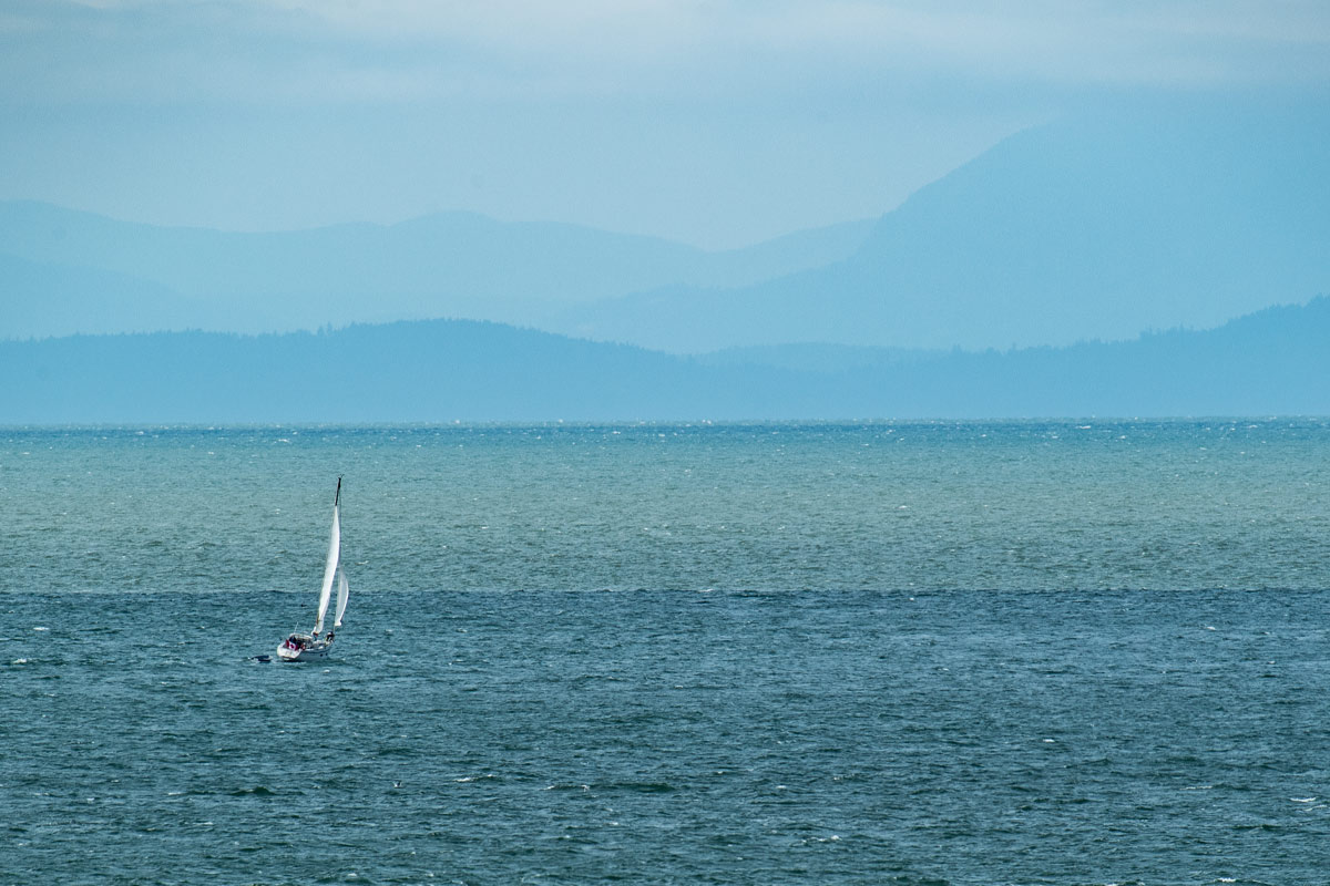 bigsnit's tweet photo. Reefed and heading out. Tidal currents, wind, and sun creating some interesting colours in the Strait of Georgia today. #catalina22 #sailing #howesound #straitofgeorgia #salishsea #nikon #vancouver #canada #yacht #reefed https://t.co/hCgTnMJrUy