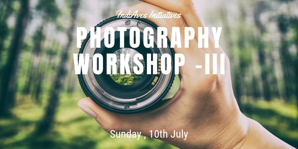 IndiAves tweet media