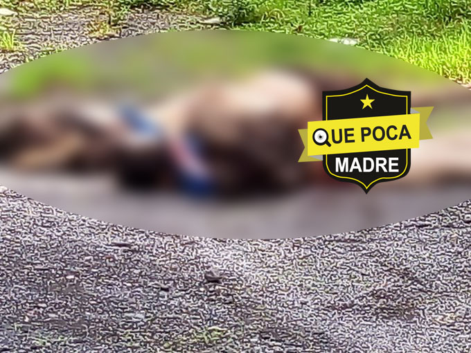 De nuestro inbox

Localizan los cadáveres de tres hombres con impactos de arma de fuego y huellas de tortura en la carretera Uruapan - Lombardia a la altura de la presa Matanguaran en Uruapan #Michoacan