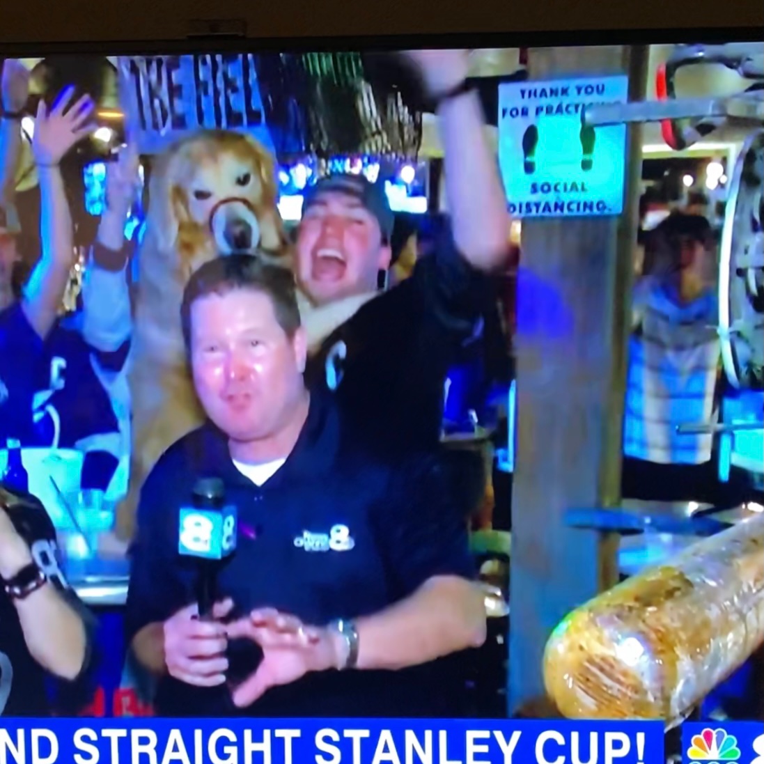 LoeFamilyLoves's tweet photo. Yay Lightning, but someone please go save this dog.  #stanleycup https://t.co/hn02UU5LeZ