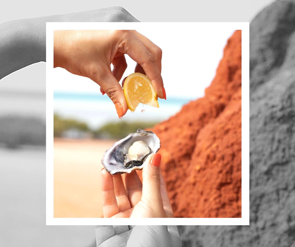 Sydney Cove Oyster Bar tweet media