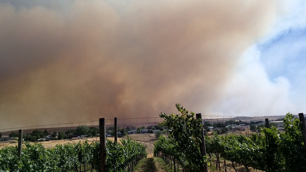 MiaCarlsonWA's tweet photo. Check out this amazing video of two firefighting aircraft landing together on the choppy Snake River to load their tanks w/ water to battle the #AsotinComplex #fires - talk about some serious skills!

Clarkston, WA
Lewiston-Nez Perce County Reg. Airport

https://t.co/o6FmFlZ0nA https://t.co/x8yagark1k
