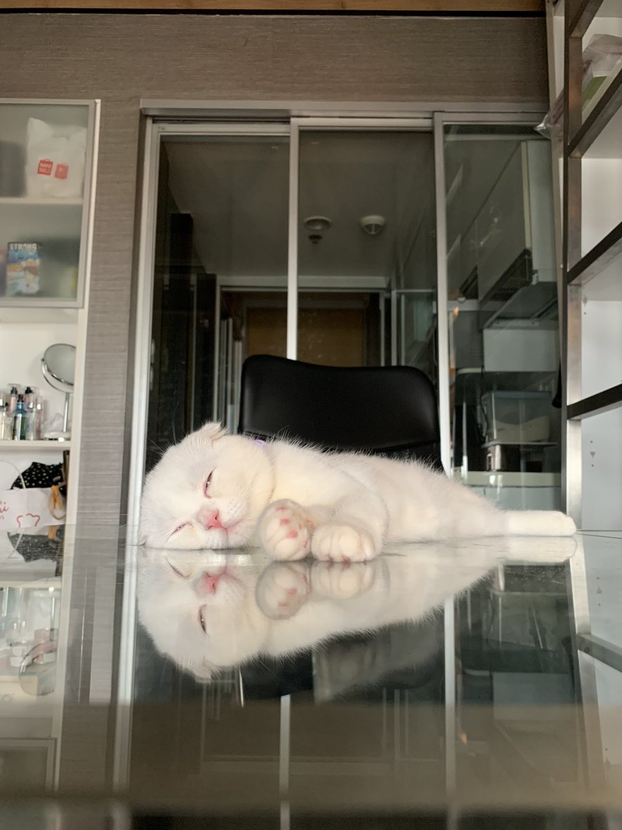 ponyo_today's tweet photo. แงวน้ำตัวน้อย อุ๋งๆๆ https://t.co/4Un9LW6JPd