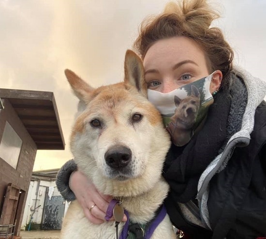 URGENT please retweet to help Suki find a home #LIVERPOOL #ENGLAND 
Suki has been in this shelter for 4 years! 💔 She's aged 9, loves cuddles, good on the lead, non destructive  and clean, looking for an experienced adult home as only pet
DETAILS👇
freshfields.org.uk/animals/suki/
#dogs