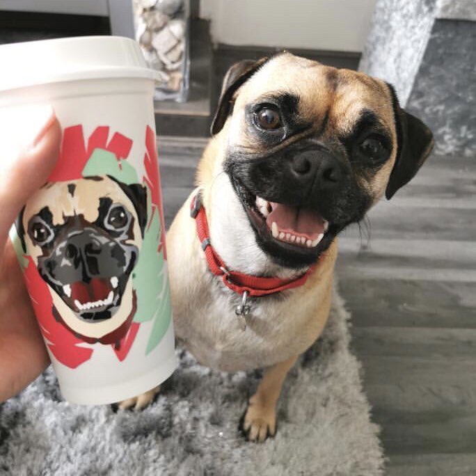 Jango Wears Illustrations tweet media