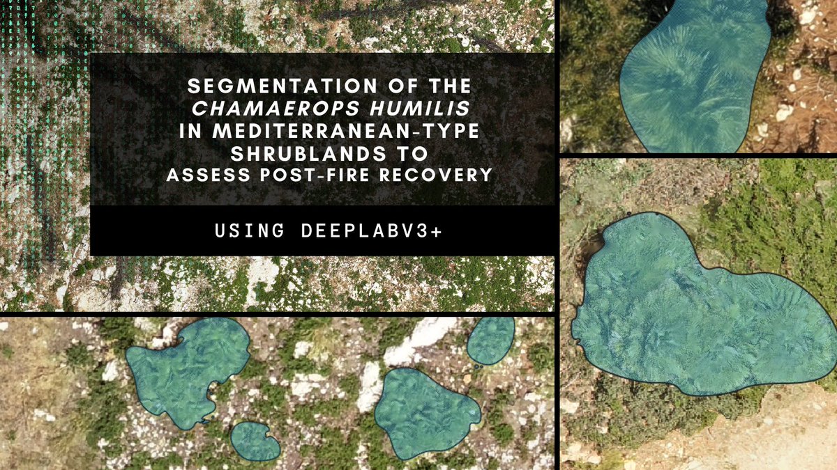 socialdroneslab's tweet image. Congratulation to Sytze that has successfully defended his MSc thesis! 🛸🌴🇪🇸🧠 Very intersting work where @GoogleAI @Google #DeepLabV3 was investigated for #drones #ImageSegmentation
