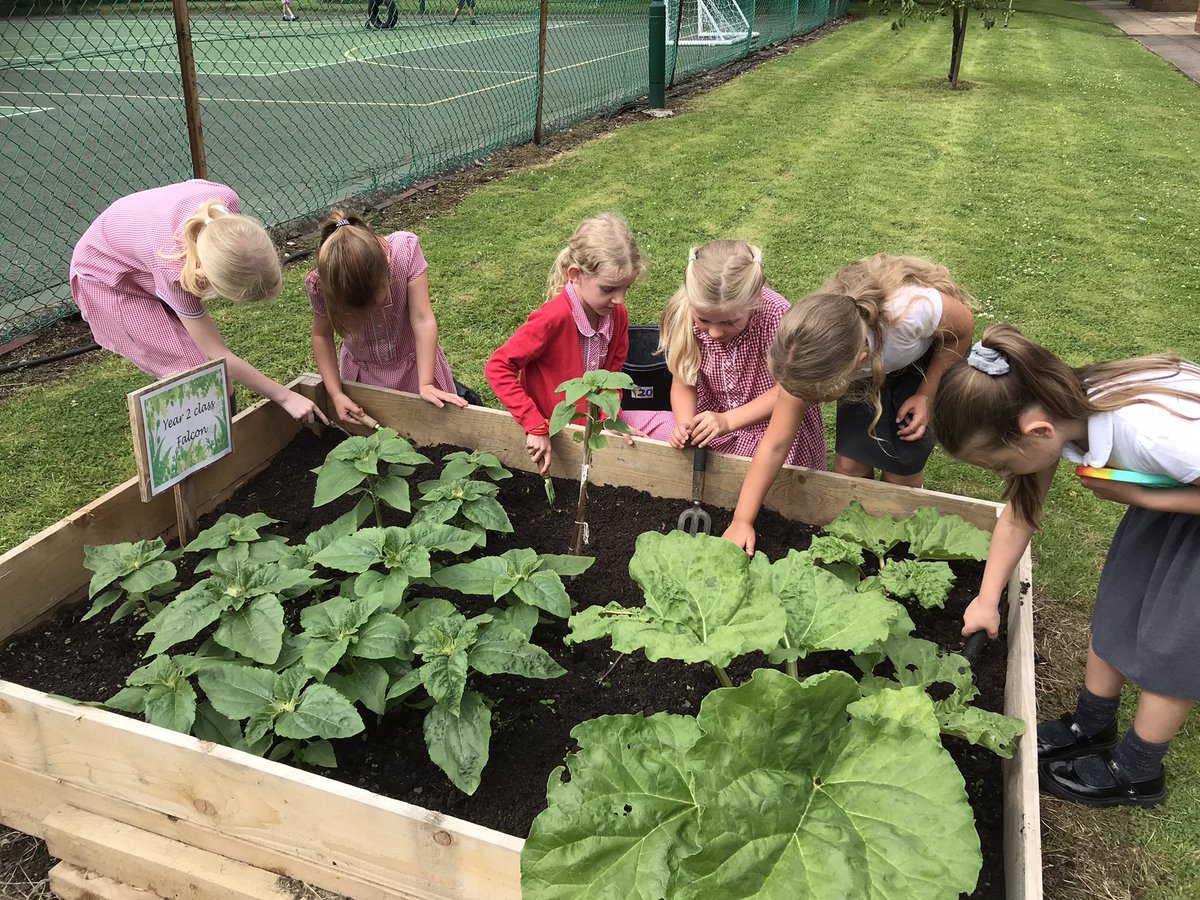 OverleighSchoolY2 tweet media