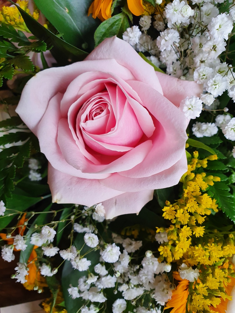 janet_celebrant's tweet photo. Saying goodbye to a beautiful and elegant lady today, she loved her garden and flowers #funeral celebrant #bookyourowncelebrant #personalisedceremonies #nonreligousfuneral #humanistfunerals https://t.co/fNNb1TTjAS