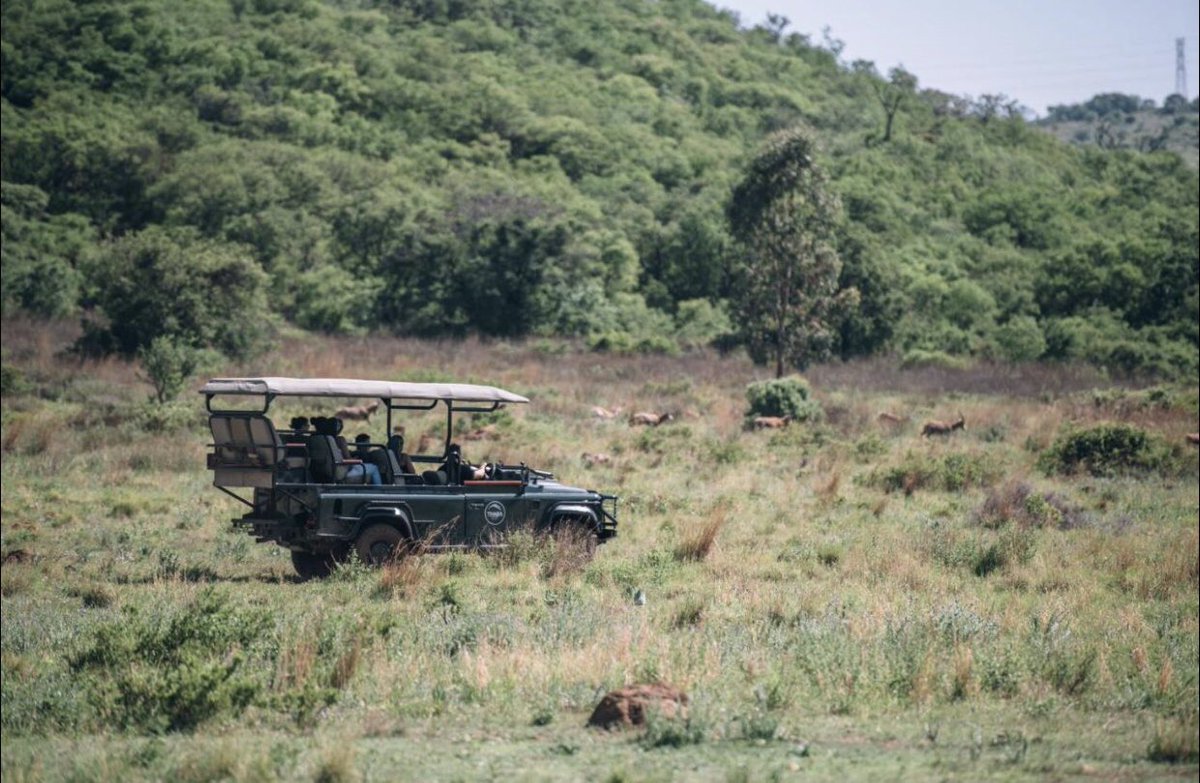 SaElegance's tweet photo. Who said you have to leave #Gauteng to enjoy the bush? We got you covered! Just pack your bags and hit the road. 2 adults for 3 nights from R7500 including breakfast daily! #Travel #Gauteng #Bushliving https://t.co/fiuaENU7BV