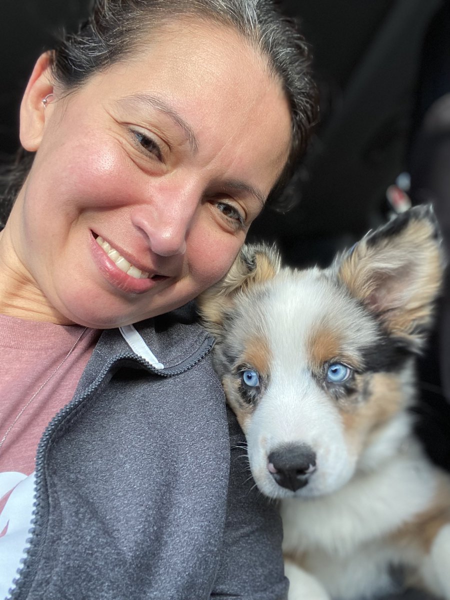 David McClain tweet media