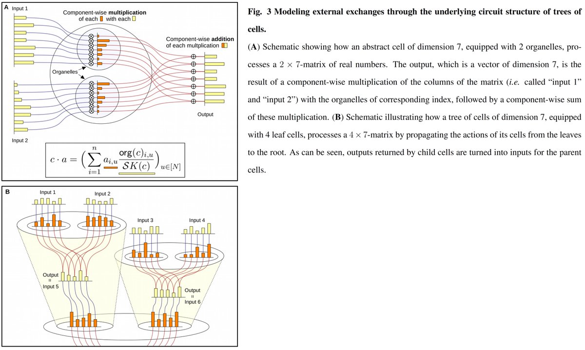manoliskellis's tweet image. Excited to share our work on #CellularIntelligence inspired by #Compartmentalization #Operads #MultiScale #Hierarchical #InformationProcessing #DynamicSpeialization #DeepLearning #Life
biorxiv.org/content/10.110… 
#IntCyt pronounced &quot;Insight&quot; by @RTuyeras @LeandroAgudeloZ #SoumyaRam
